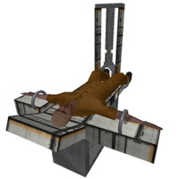 Fandy Birth Livestream