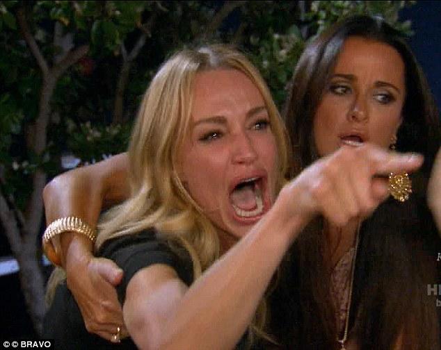 Woman Yelling At A Cat